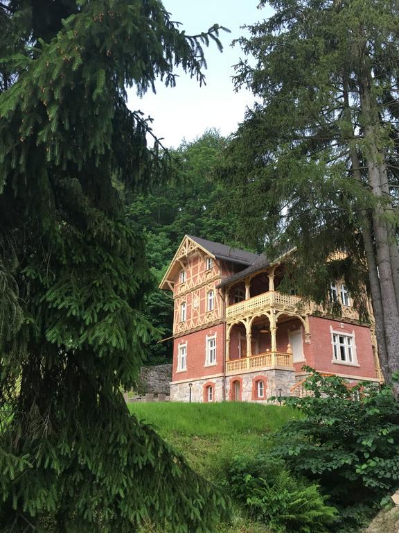 Willa Trebla Miedzygorze Kültér fotó